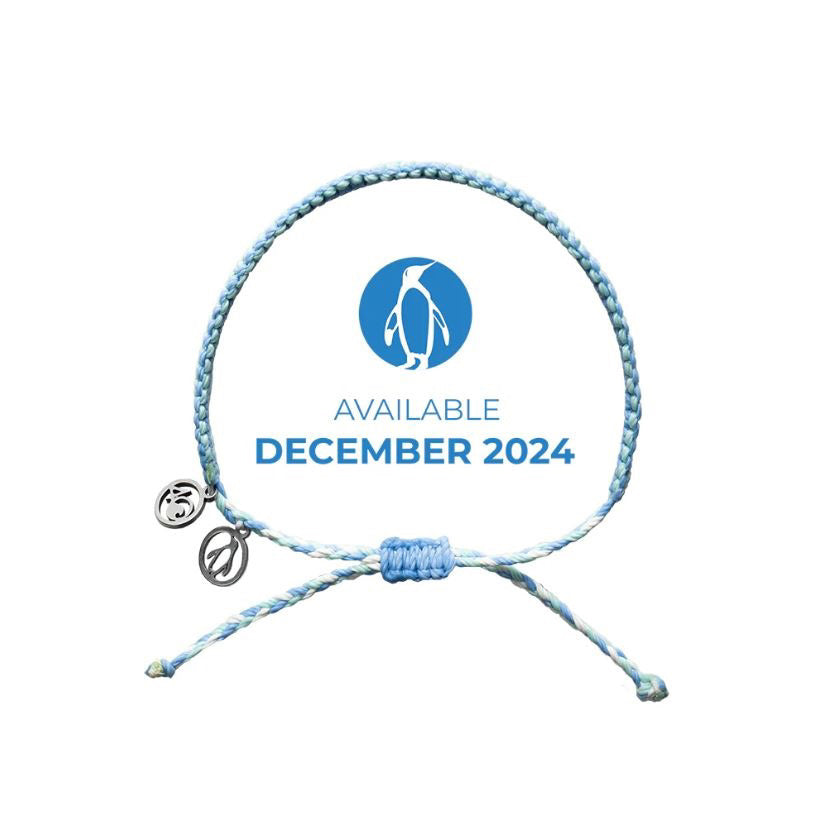 4Ocean Bracelet - 2024 Limited Edition Penguin Braided