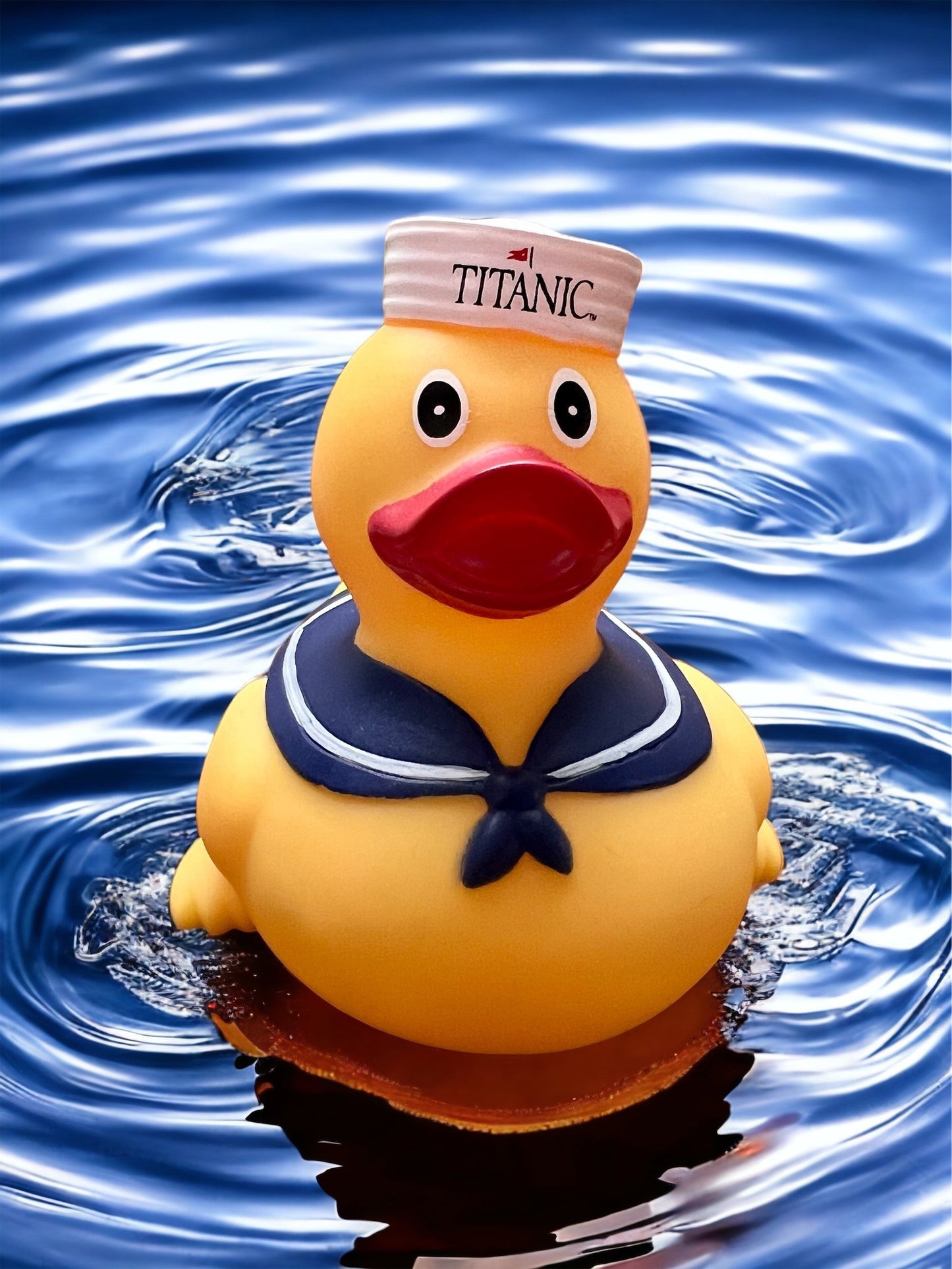 Titanic First Mate Duck