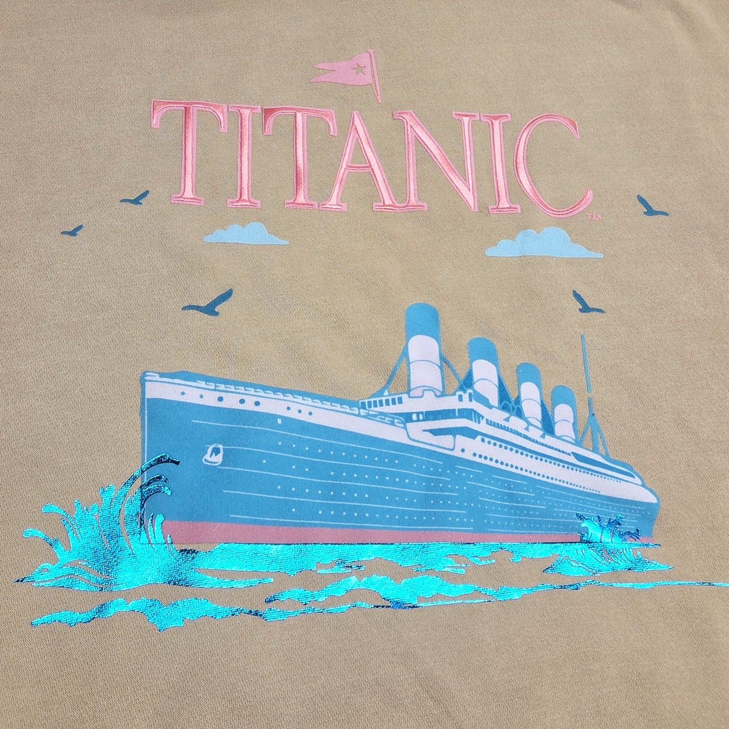 Titanic Chenille Print Fleece Hoodie