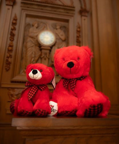 A large and small red plush bear are sitting in front of the Titanic's grand staircase clock. Both bears have red plaid paws and a matching ribbon, the small bear has a white snout and one white paw but the large bear's is red.