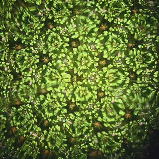 A video clip of a kaleidoscope's view. It is pointed at a Christmas wreath that reflects facets of shiny greens and reds.